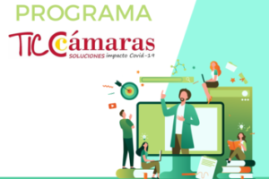 TICCámaras Ayudas